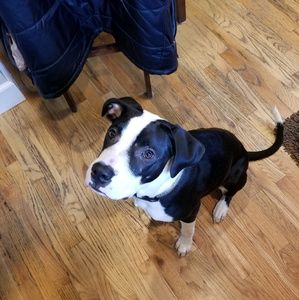 Meet your Posher, Brian